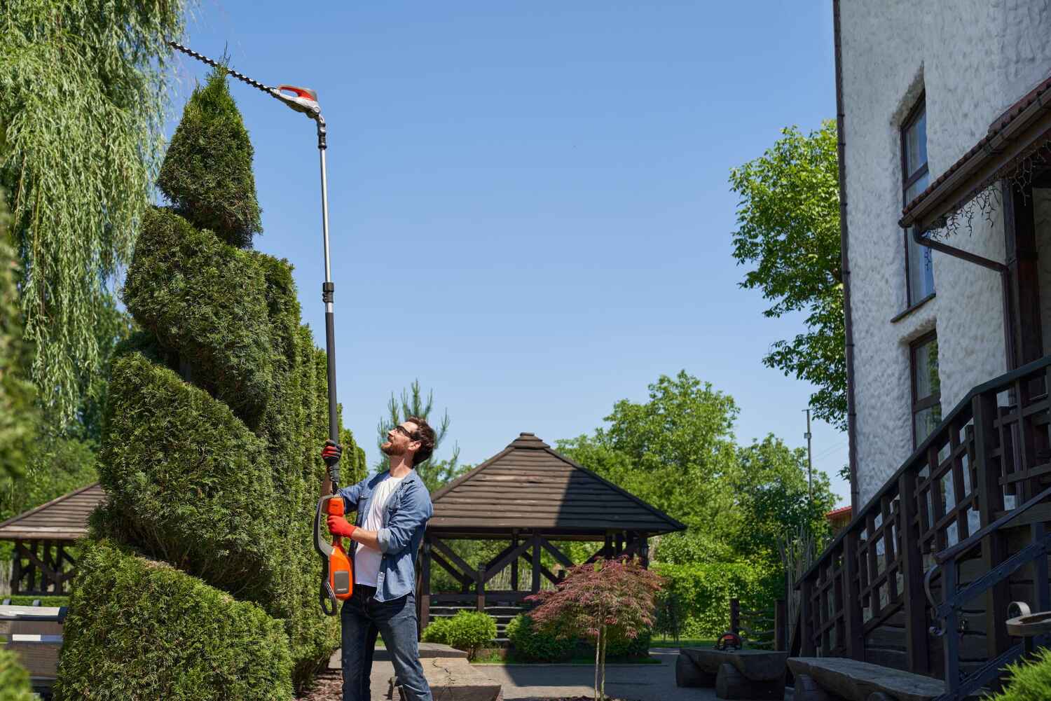 Best Palm Tree Trimming  in Mcrae Helena, GA